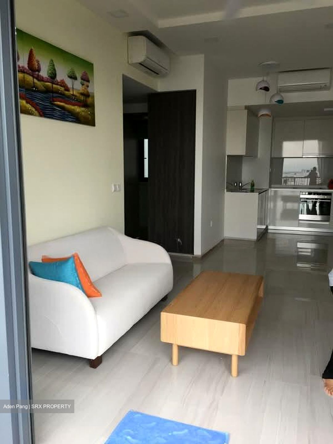 Lakeville (D22), Condominium #557947531